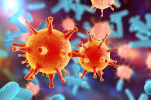 Une recherche plus large sera nécessaire pour améliorer les résultats de la gastroentérite aux éosinophiles (Visuel Adobe Stock 91414528) Une recherche plus large sera nécessaire pour améliorer les résultats de la gastroentérite aux éosinophiles (Visuel Adobe Stock 91414528)