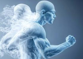 L'activité physique augmente la dépense énergétique quotidienne pas seulement pendant l’exercice mais au global, sur l’ensemble de la journée (Visuel Adobe Stock 961286343) L'activité physique augmente la dépense énergétique quotidienne pas seulement pendant l’exercice mais au global, sur l’ensemble de la journée (Visuel Adobe Stock 961286343)