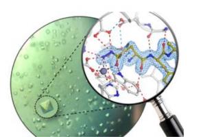 Il s'agit ici de bloquer une enzyme clé des plaques amyloïdes : « cristaux de protéines de l'enzyme humaine glutaminyl cyclase et structure atomique du nouvel inhibiteur » (Visuel Lisa-Marie Funk) Il s'agit ici de bloquer une enzyme clé des plaques amyloïdes : « cristaux de protéines de l'enzyme humaine glutaminyl cyclase et structure atomique du nouvel inhibiteur » (Visuel Lisa-Marie Funk)