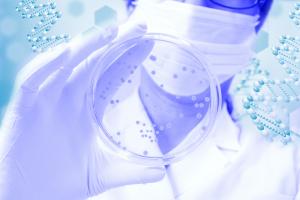 Certaines espèces de bactéries intestinales sont bien liées à l'amélioration de compétences cognitives et de langage chez les bébés (Visuel Adobe Stock 167581840) Certaines espèces de bactéries intestinales sont bien liées à l'amélioration de compétences cognitives et de langage chez les bébés (Visuel Adobe Stock 167581840)