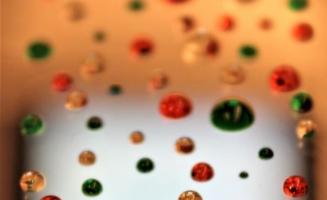 Le test a été inspiré par des plantes carnivores dont les feuilles en forme de goulot comportent des microstructures infusées de liquide extrêmement glissant de manière à faire tomber l’insecte dans le goulot (Visuel Pak Kin Wong, Penn State) Le test a été inspiré par des plantes carnivores dont les feuilles en forme de goulot comportent des microstructures infusées de liquide extrêmement glissant de manière à faire tomber l’insecte dans le goulot (Visuel Pak Kin Wong, Penn State)