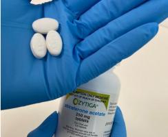 Cette nouvelle formulation d'un médicament du cancer de la prostate améliore considérablement le rapport bénéfice-risque (Hayley Schultz/UniSA) Cette nouvelle formulation d'un médicament du cancer de la prostate améliore considérablement le rapport bénéfice-risque (Hayley Schultz/UniSA)