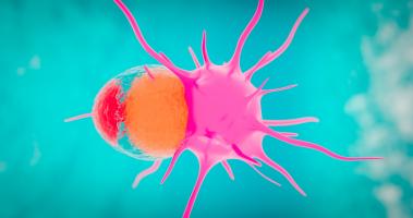 La théranostique, (thérapie plus diagnostic) permet de mieux cibler la maladie, de réduire les effets secondaires et d’accroître l’efficacité des traitements (Visuel Adobe Stock 243711879) La théranostique, (thérapie plus diagnostic) permet de mieux cibler la maladie, de réduire les effets secondaires et d’accroître l’efficacité des traitements (Visuel Adobe Stock 243711879)