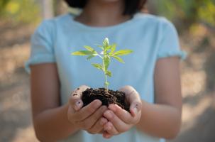 Autorisé légalement à la vente, le cannabidiol (CBD) est connu pour ses nombreuses vertus Autorisé légalement à la vente, le cannabidiol (CBD) est connu pour ses nombreuses vertus