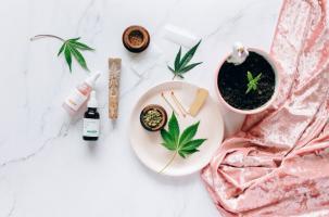 Les fleurs de CBD plongent leurs racines dans l’histoire du chanvre, une plante utilisée depuis des millénaires pour ses nombreuses applications, allant de la fabrication de textiles aux remèdes médicinaux (Visuel pexels 7852556) Les fleurs de CBD plongent leurs racines dans l’histoire du chanvre, une plante utilisée depuis des millénaires pour ses nombreuses applications, allant de la fabrication de textiles aux remèdes médicinaux (Visuel pexels 7852556)