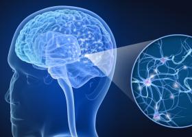 Le déclenchement d'un état hypothermique réversible, semblable à l'hibernation, mais sans refroidissement externe, pourrait en effet présenter des avantages thérapeutiques (Visuel Adobe Stock 206037348) Le déclenchement d'un état hypothermique réversible, semblable à l'hibernation, mais sans refroidissement externe, pourrait en effet présenter des avantages thérapeutiques (Visuel Adobe Stock 206037348)