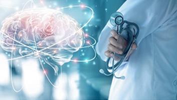 Oui, le cerveau humain est bien de plus en plus gros (Visuel Adobe Stock 208730889) Oui, le cerveau humain est bien de plus en plus gros (Visuel Adobe Stock 208730889)