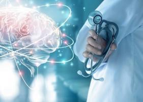 Ces neuroscientifiques viennent d’identifier un  « variateur d'intensité » du stress dans le cerveau (Visuel Adobe Stock 208730889)