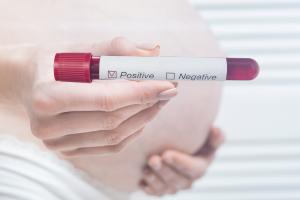 Découverte d'une signature sanguine pour prédire le placenta accreta (Visuel Adobe stock 333803034) Découverte d'une signature sanguine pour prédire le placenta accreta (Visuel Adobe stock 333803034)