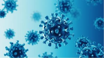 Un extrait d'algues s’avère ici plus efficace contre COVID-19 que le remdesivir, testé in vitro dans les mêmes conditions (Rensselaer Polytechnic Institute) Un extrait d'algues s’avère ici plus efficace contre COVID-19 que le remdesivir, testé in vitro dans les mêmes conditions (Rensselaer Polytechnic Institute)