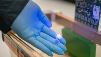 Ce petit dispositif qui stimule les terminaisons du nerf vague, responsable de la régulation de la prise alimentaire (Visuel Texas A&M University College of Engineering) Ce petit dispositif qui stimule les terminaisons du nerf vague, responsable de la régulation de la prise alimentaire (Visuel Texas A&M University College of Engineering)