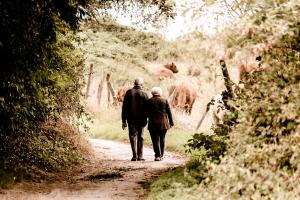 La maladie d’Alzheimer touche près d’un million de personnes en France, avec environ 225.000 nouveaux cas diagnostiqués chaque année (Visuel Pixabay elderly 2914879_1280) La maladie d’Alzheimer touche près d’un million de personnes en France, avec environ 225.000 nouveaux cas diagnostiqués chaque année (Visuel Pixabay elderly 2914879_1280)