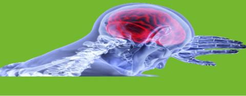 Première démonstration d’efficacité de la stimulation ultrasonore pulsée de faible intensité non invasive pour le traitement de l'épilepsie (Visuel Chinese Academy of Sciences) Première démonstration d’efficacité de la stimulation ultrasonore pulsée de faible intensité non invasive pour le traitement de l'épilepsie (Visuel Chinese Academy of Sciences)