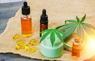 L'huile de CBD et la fleur de CBD sont-elles toutes deux équivalentes ? (Visuel Ereferer) L'huile de CBD et la fleur de CBD sont-elles toutes deux équivalentes ? (Visuel Ereferer)