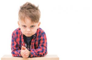 L'agression/agressivité est un comportement qui se retrouve chez l’ensemble des animaux et « qui façonne les vies humaines depuis les premières rencontres dans les cours d'école jusqu'à l'expression la plus extrême d'un conflit armé et mondial » L'agression/agressivité est un comportement qui se retrouve chez l’ensemble des animaux et « qui façonne les vies humaines depuis les premières rencontres dans les cours d'école jusqu'à l'expression la plus extrême d'un conflit armé et mondial »