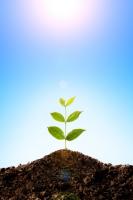 Au  cœur du processus d’angiogenèse, une voie de signalisation clé et 2 protéines (kinase Akt et R-Ras)