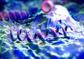 Cet essai clinique, sur la siphilis, montre qu’il est non seulement possible de simplifier le traitement de la syphilis précoce mais apporte aussi un exemple de bon usage des antibiotiques (Visuel Fotolia 105241484)