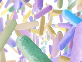 La colonisation bactérienne affecte les contractions ici de la cavité digestive La colonisation bactérienne affecte les contractions ici de la cavité digestive