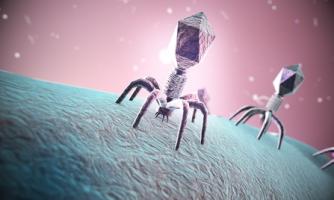 La propagation mondiale d'une maladie infectieuse grave pourrait entraîner jusqu’à 700.000 décès directement liés à la pandémie et des dépenses de 500 milliards de dollars.