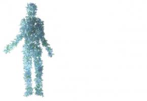 Les microbes du corps humain s’échangent des gènes, franchissant même limites des tissus d’origine Les microbes du corps humain s’échangent des gènes, franchissant même limites des tissus d’origine