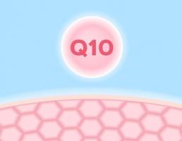 a coenzyme Q (CoQ) est un rouage essentiel dans les processus de production d'énergie du corps a coenzyme Q (CoQ) est un rouage essentiel dans les processus de production d'énergie du corps