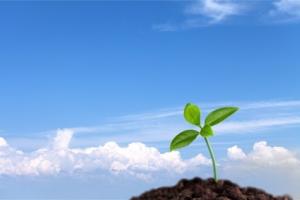 Le mésencéphale code l'erreur et la transmet au lobe frontal pour la révision des attentes Le mésencéphale code l'erreur et la transmet au lobe frontal pour la révision des attentes