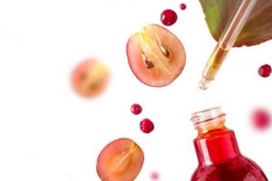 L'apport de 100 g de cranberries ou canneberges par jour permet de préserver une bonne santé cardiovasculaire (Fotolia 2074244116) L'apport de 100 g de cranberries ou canneberges par jour permet de préserver une bonne santé cardiovasculaire (Fotolia 2074244116)