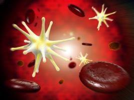 COVID-19 : et si ses symptômes étaient tout aussi cardiovasculaires ? (Visuel Fotolia_64663668_XS) COVID-19 : et si ses symptômes étaient tout aussi cardiovasculaires ? (Visuel Fotolia_64663668_XS)