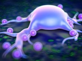 Le rôle clé de la graisse abdominale et ses éosinophiles dans le vieillissement (Fotolia_88469774_XS) Le rôle clé de la graisse abdominale et ses éosinophiles dans le vieillissement (Fotolia_88469774_XS)