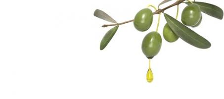 L'étude décrit le rôle clé d’une protéine plasmatique, ApoA-IV qui augmente après la digestion des aliments riches en graisses insaturées, comme l'huile d'olive et est plus active durant le sommeil, et qui prévient le risque d’événement cardiovasculaire. L'étude décrit le rôle clé d’une protéine plasmatique, ApoA-IV qui augmente après la digestion des aliments riches en graisses insaturées, comme l'huile d'olive et est plus active durant le sommeil, et qui prévient le risque d’événement cardiovasculaire.