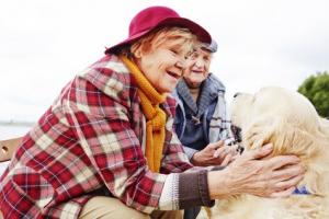 Alors que vivre avec un animal de compagnie apporte de nombreux bénéfices pour la santé, cette équipe de l’Université d'York suggère, cela ne semble pas apporter d'amélioration aux personnes atteintes de troubles de la santé mentale (Visuel Adobe Stock 96580468) Alors que vivre avec un animal de compagnie apporte de nombreux bénéfices pour la santé, cette équipe de l’Université d'York suggère, cela ne semble pas apporter d'amélioration aux personnes atteintes de troubles de la santé mentale (Visuel Adobe Stock 96580468)