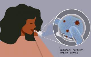Un home-test d’haleine pourrait encore faciliter et élargir le dépistage des cas COVID-19 (Visuel UTHSC) Un home-test d’haleine pourrait encore faciliter et élargir le dépistage des cas COVID-19 (Visuel UTHSC).