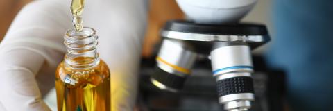 L’effet d’entourage explique pourquoi le cannabis peut être efficace contre la douleur thérapeutique (Visuel AdobeStock_316331164) L’effet d’entourage explique pourquoi le cannabis peut être efficace contre la douleur thérapeutique (Visuel AdobeStock_316331164)