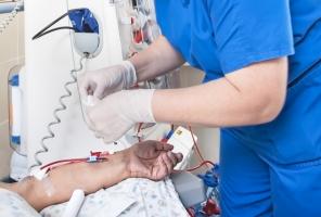 Cette équipe de Singapour parvient à régénérer un rein malade - chez la souris (Visuel Adobe Stock 187867109) Cette équipe de Singapour parvient à régénérer un rein malade - chez la souris (Visuel Adobe Stock 187867109)