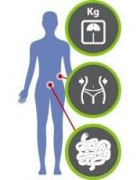 Comme l’apport de certains nutriments ou de probiotiques qui vont, en régulant notre métabolisme, induire naturellement ou faciliter la perte de poids. Comme l’apport de certains nutriments ou de probiotiques qui vont, en régulant notre métabolisme, induire naturellement ou faciliter la perte de poids.