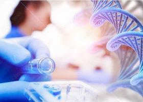 Des schémas de vieillissement des organes se révèlent prédictifs de la neurodégénérescence et des troubles de l'humeur. (Visuel Adobe Stock 470918212) Des schémas de vieillissement des organes se révèlent prédictifs de la neurodégénérescence et des troubles de l'humeur. (Visuel Adobe Stock 470918212)