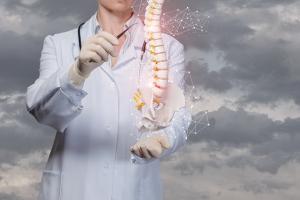 Une bactérie intestinale spécifique altère la croissance et la maturation squelettique Une bactérie intestinale spécifique altère la croissance et la maturation squelettique