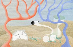 Ces scientifiques allemands sont parvenus à suivre tout le processus biologique de la prise de décision