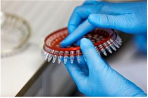 Ces antidépresseurs, les inhibiteurs de monoamine oxydase (IMAO) peuvent activer et soutenir le système immunitaire dans sa lutte contre différents types de tumeurs (Visuel Fotolia) Ces antidépresseurs, les inhibiteurs de monoamine oxydase (IMAO) peuvent activer et soutenir le système immunitaire dans sa lutte contre différents types de tumeurs (Visuel Fotolia)