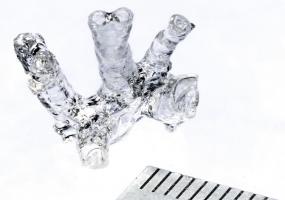 La technique permet de reproduite toute la complexité des tissus cellulaires humains pour de multiples applications cliniques La technique permet de reproduite toute la complexité des tissus cellulaires humains pour de multiples applications cliniques