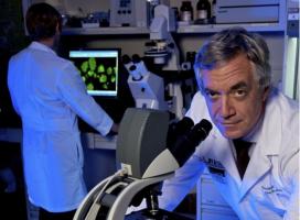 Le Dr Camillo Ricordi étudie les cellules souches mésenchymateuses depuis plus de 10 ans dans le diabète de type 1 (Visuel University of Miami Health System) Le Dr Camillo Ricordi étudie les cellules souches mésenchymateuses depuis plus de 10 ans dans le diabète de type 1 (Visuel University of Miami Health System)