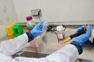 Cette nouvelle technique qui stabilise les virus présents dans les vaccins avec des protéines, permet de se passer de la chaîne du froid et va permettre de donner à certaines régions du monde, un accès élargi aux vaccins anti-virus non-enveloppés, dans un premier temps (Visuel Sarah Atkinson/Michigan Tech) Cette nouvelle technique qui stabilise les virus présents dans les vaccins avec des protéines, permet de se passer de la chaîne du froid et va permettre de donner à certaines régions du monde, un accès élargi aux vaccins anti-virus non-enveloppés, dans un premier temps (Visuel Sarah Atkinson/Michigan Tech)