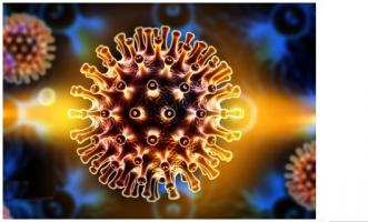 La stratégie vise à « faire sortir » de ses réservoirs les virus latents afin de pouvoir ensuite totalement les éliminer. La stratégie vise à « faire sortir » de ses réservoirs les virus latents afin de pouvoir ensuite totalement les éliminer.