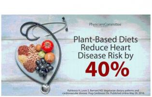 Les maladies cardiovasculaires sont responsables de 46% des décès liés aux maladies non transmissibles Les maladies cardiovasculaires sont responsables de 46% des décès liés aux maladies non transmissibles