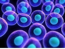 Une chute remarquable des taux de mortalité du cancer du sein, de 39% entre 1989 et 2015 Une chute remarquable des taux de mortalité du cancer du sein, de 39% entre 1989 et 2015