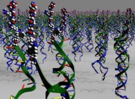 Un développement présenté comme « révolutionnaire » pour l’avancement des thérapies cellulaires