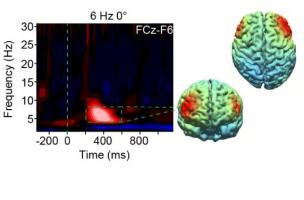 Il devient possible, par stimulation cérébrale, d’améliorer la fonction exécutive, de limiter les erreurs et d’accroître la performance cognitive sur une tâche donnée Il devient possible, par stimulation cérébrale, d’améliorer la fonction exécutive, de limiter les erreurs et d’accroître la performance cognitive sur une tâche donnée