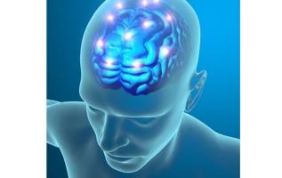 La sérotonine est l'un des principaux composés chimiques utilisé par les cellules nerveuses pour communiquer entre elles, pourtant ses effets sur le comportement ne sont pas encore totalement compris. La sérotonine est l'un des principaux composés chimiques utilisé par les cellules nerveuses pour communiquer entre elles, pourtant ses effets sur le comportement ne sont pas encore totalement compris.