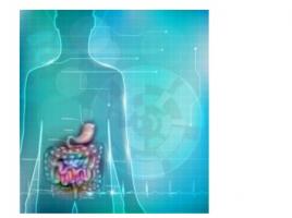 Une technique qui utilise des cellules autologues modifiées pour traiter la maladie de Crohn se révèle ici efficace avec cette recherche menée in vitro Une technique qui utilise des cellules autologues modifiées pour traiter la maladie de Crohn se révèle ici efficace avec cette recherche menée in vitro