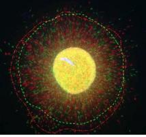 Des niveaux plus élevés de CLOCK (en rouge sur visuel) permettent aux neurones de migrer plus loin. Des niveaux plus élevés de CLOCK (en rouge sur visuel) permettent aux neurones de migrer plus loin.